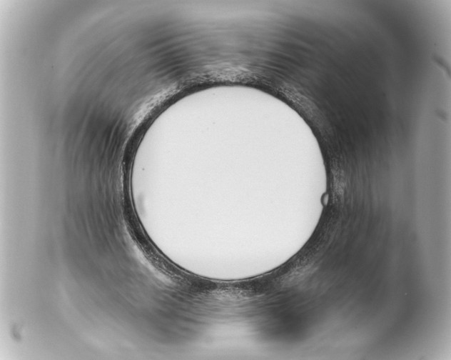 X0000101460630200808041042