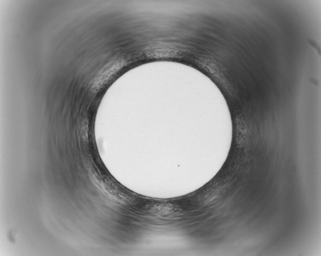 X0000101460631200808041042