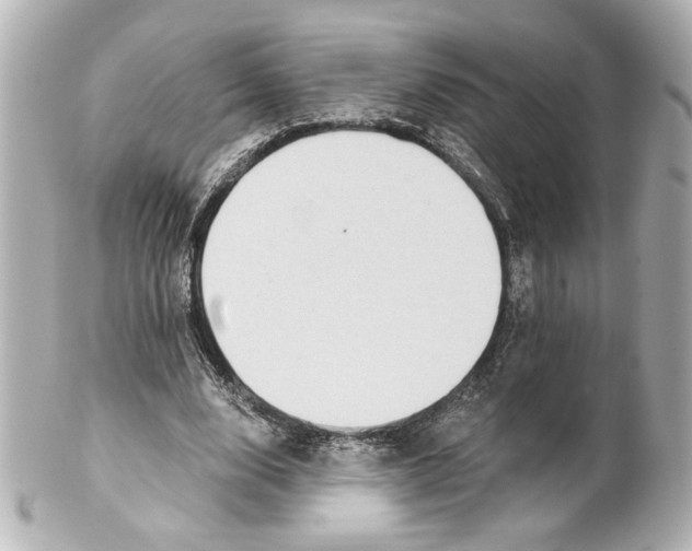 X0000101460632200808041042