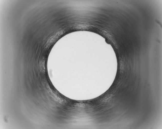 X0000101460633200808041042