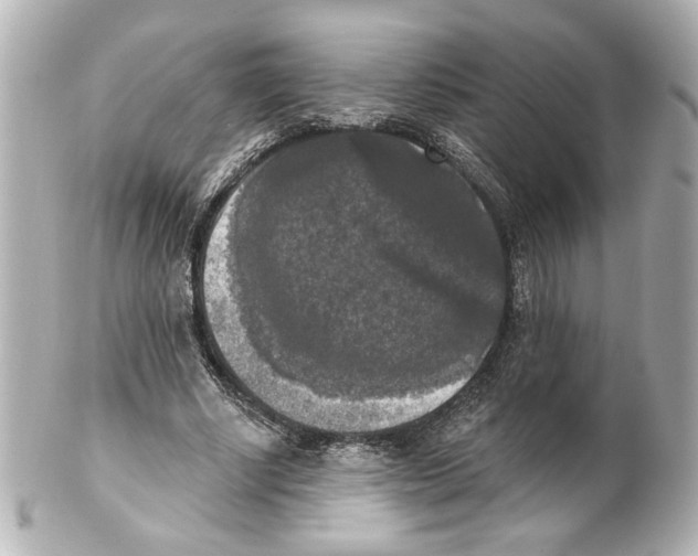 X0000101460634200808041042