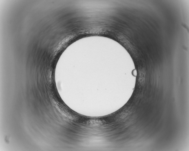 X0000101460636200808041042