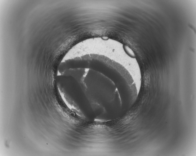 X0000101460637200808041042