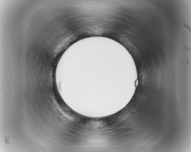 X0000101460638200808041042