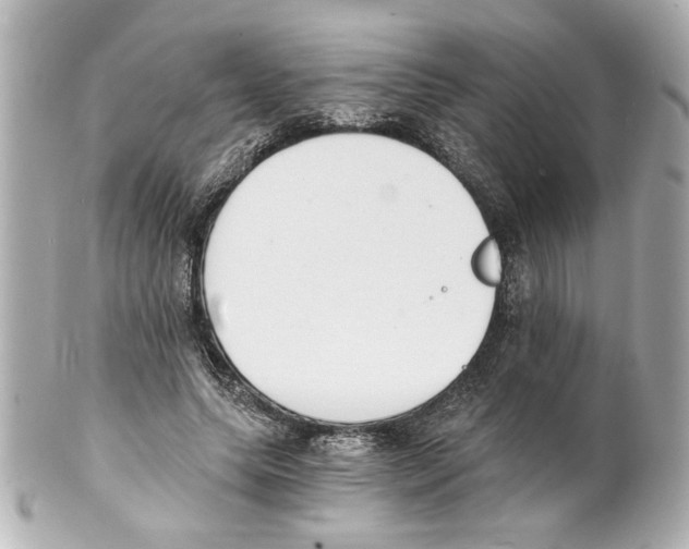 X0000101460639200808041042