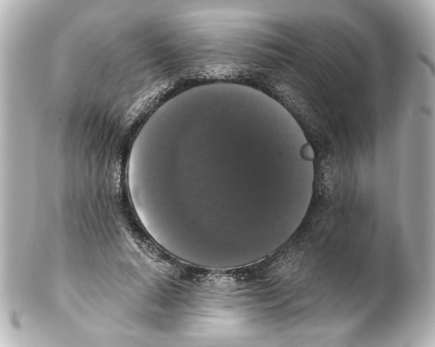 X0000101460640200808041042