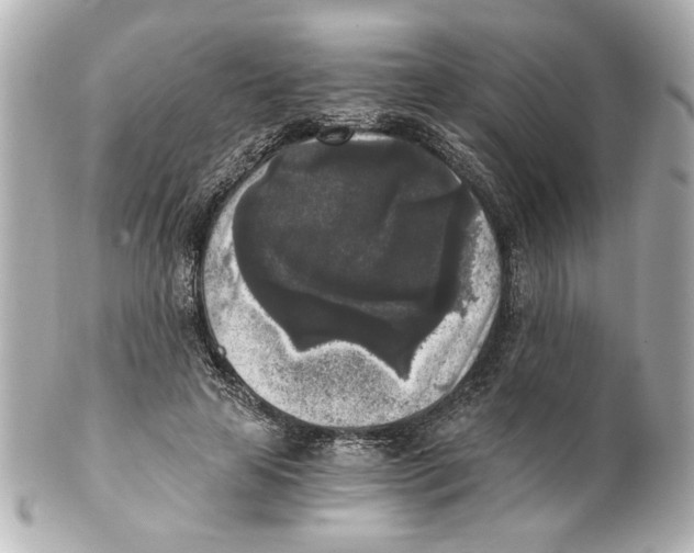 X0000101460641200808041042