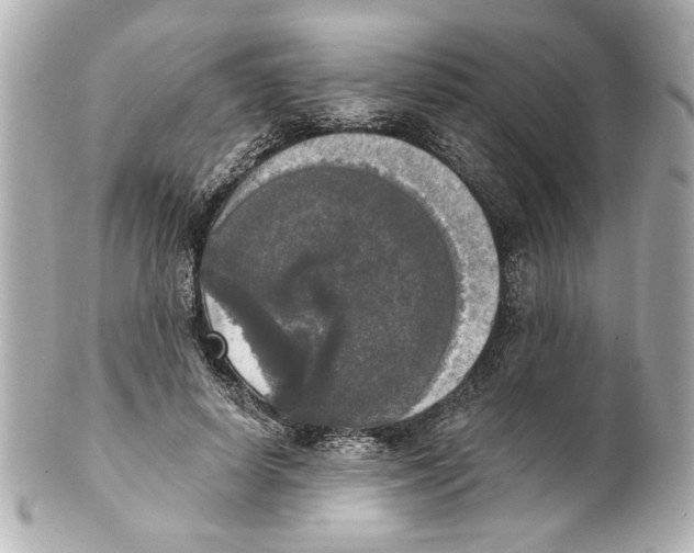 X0000101460642200808041042