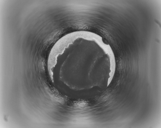 X0000101460643200808041042