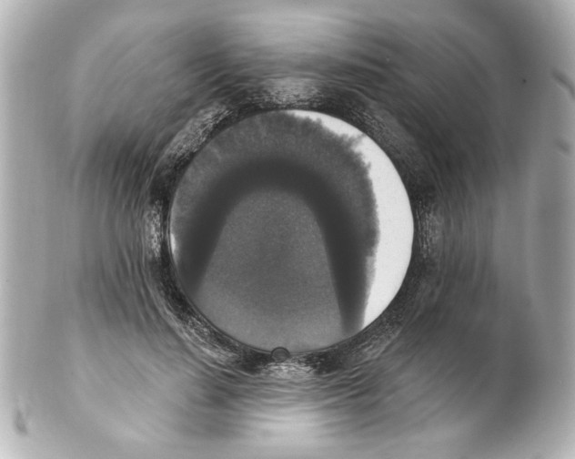 X0000101460644200808041042
