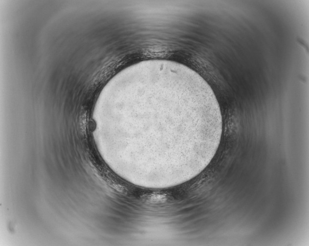 X0000101460647200808041043
