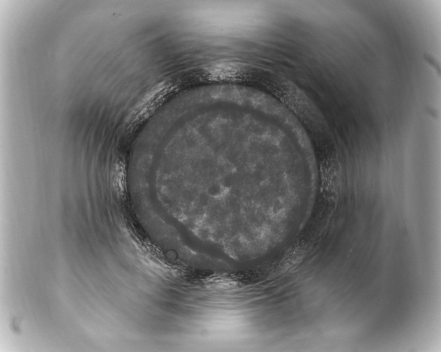 X0000101460648200808041043