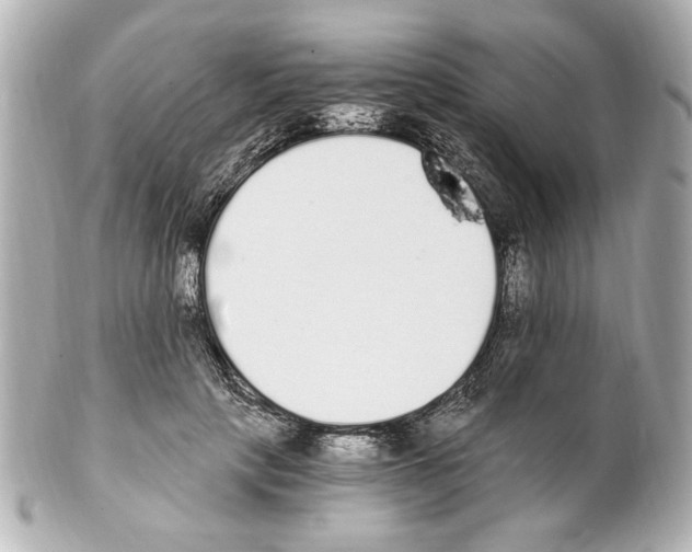 X0000101460649200808041043