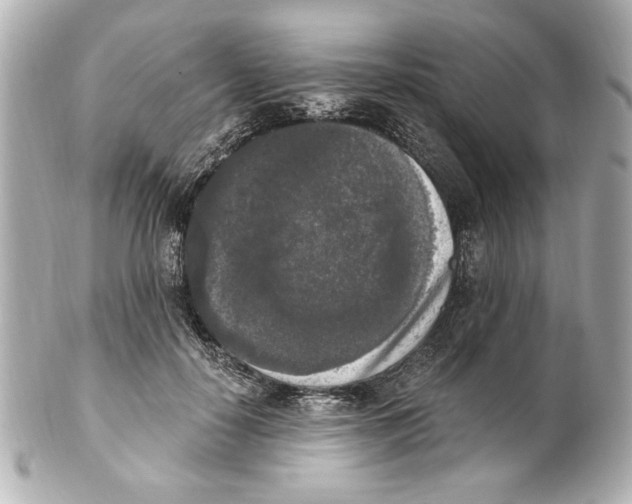X0000101460650200808041043