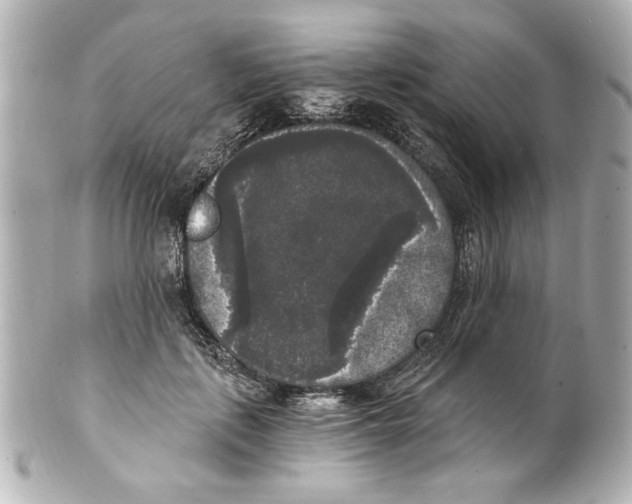X0000101460651200808041043
