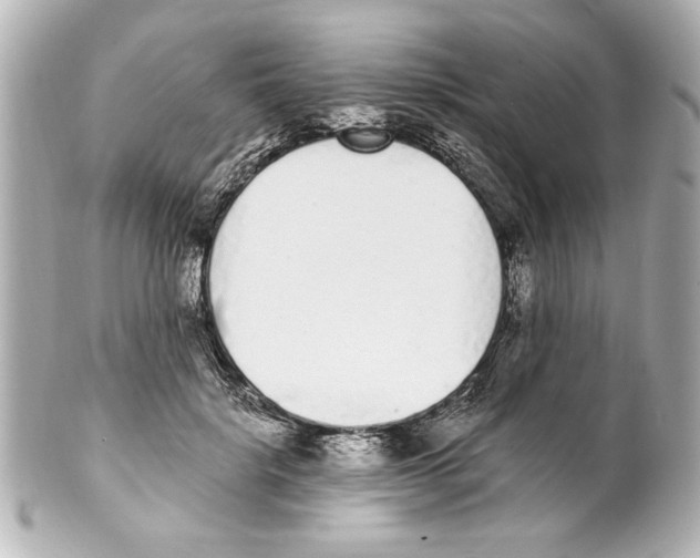 X0000101460652200808041043