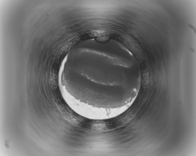 X0000101460653200808041043