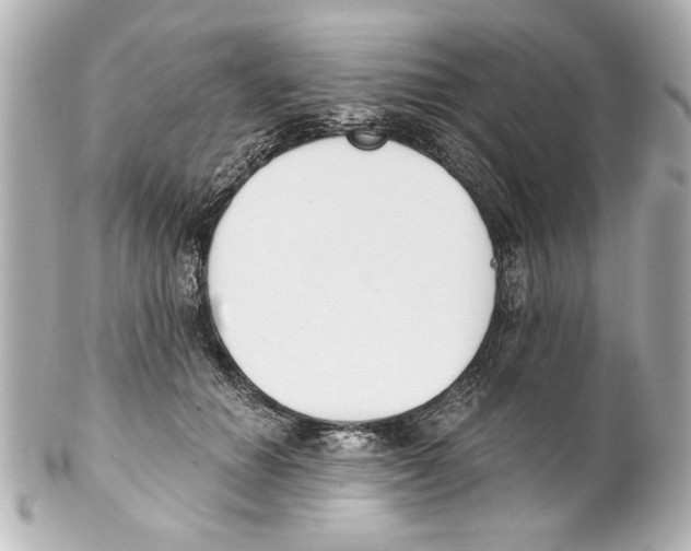 X0000101460654200808041043