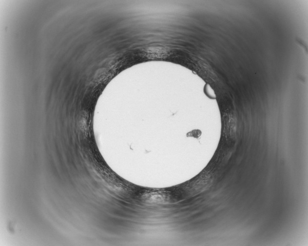 X0000101460655200808041043