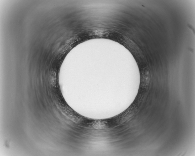 X0000101460656200808041043