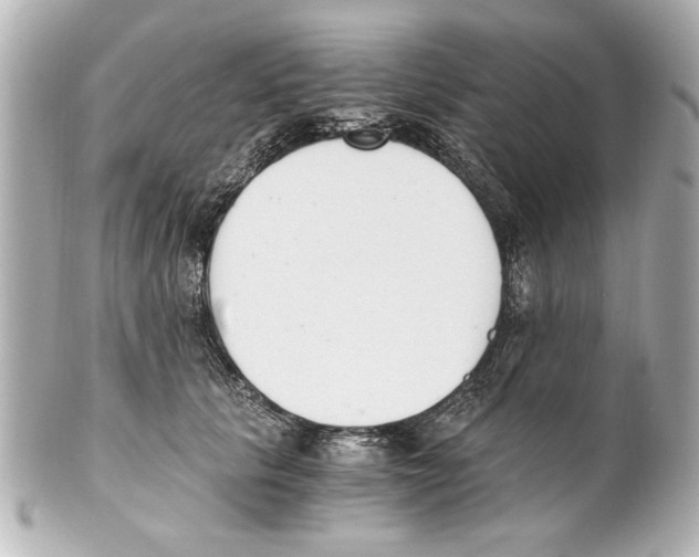 X0000101460657200808041043