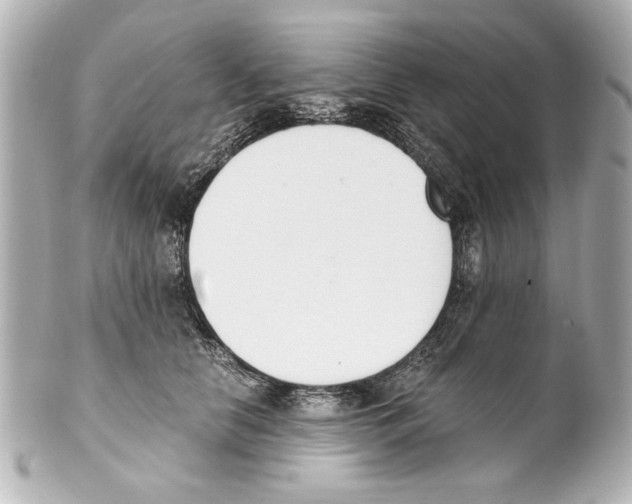 X0000101460658200808041043