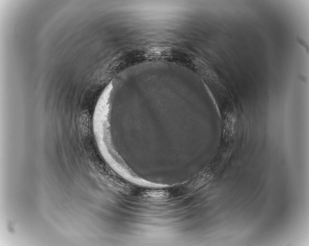 X0000101460659200808041043