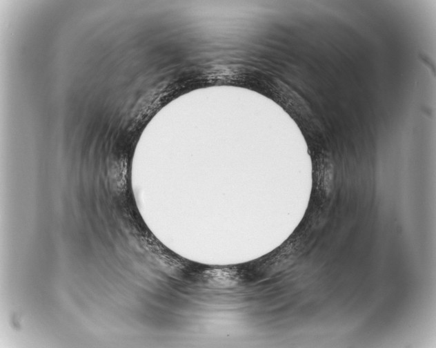 X0000101460660200808041043