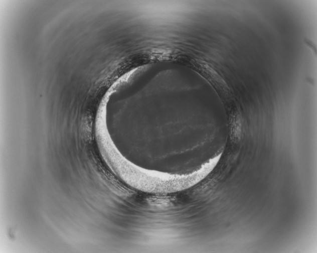 X0000101460661200808041043