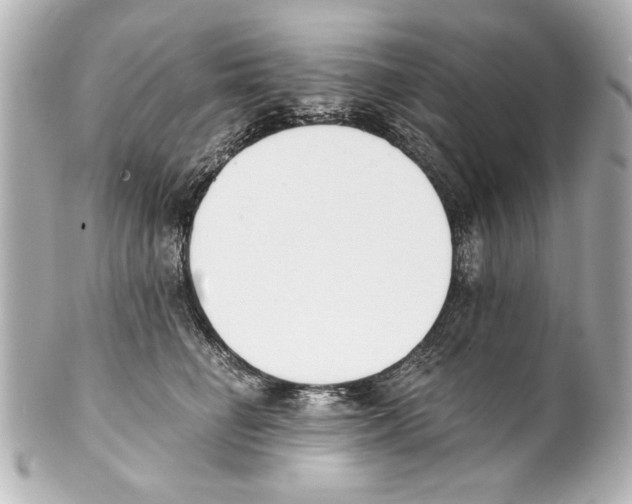 X0000101460662200808041043