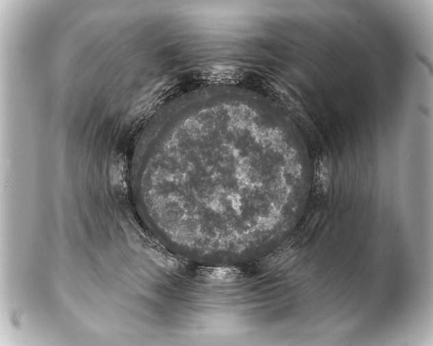 X0000101460663200808041043