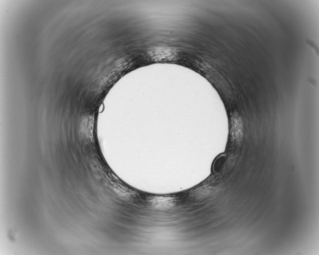 X0000101460664200808041043