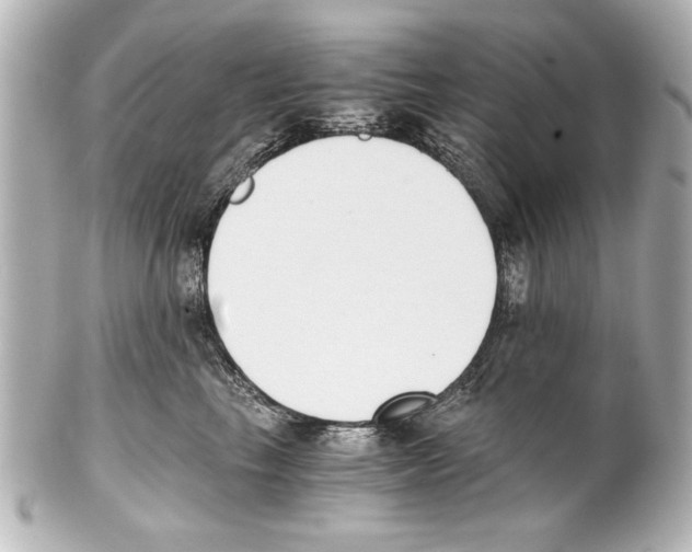 X0000101460665200808041043