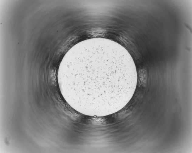 X0000101460667200808041043