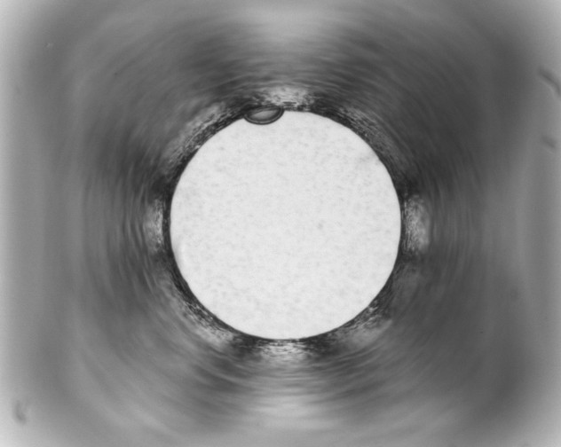 X0000101460668200808041043