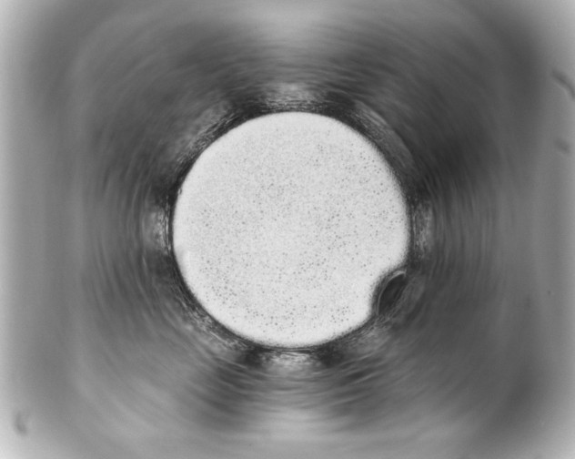 X0000101460669200808041043
