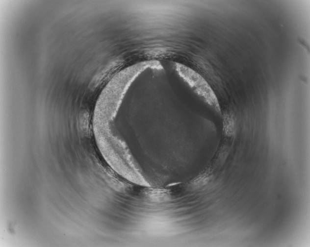 X0000101460670200808041043