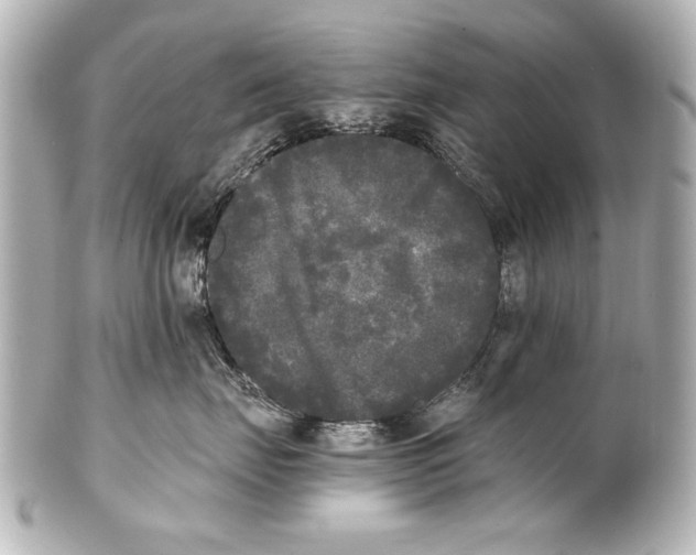 X0000101460671200808041043