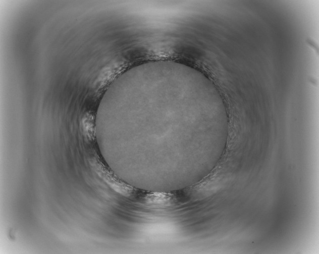 X0000101460672200808041043