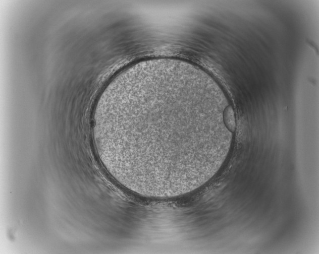 X0000101460673200808041042
