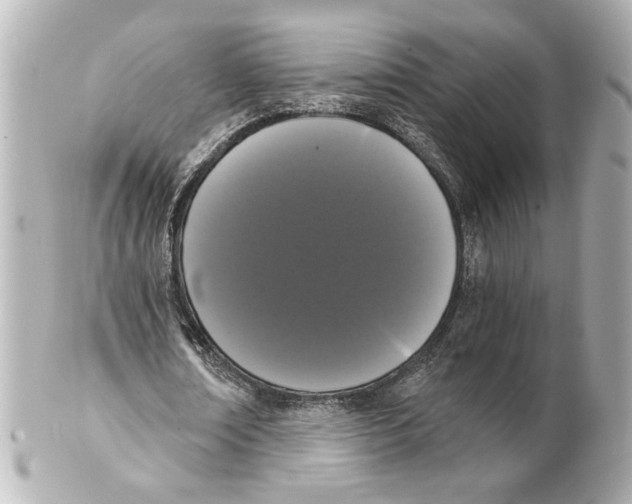 X0000101460674200808041042
