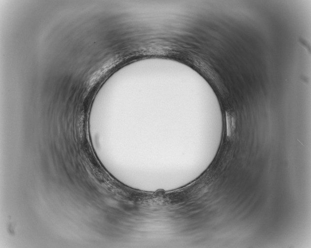 X0000101460675200808041042