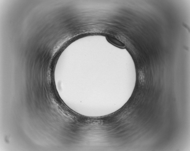 X0000101460676200808041042