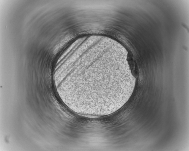 X0000101460677200808041042