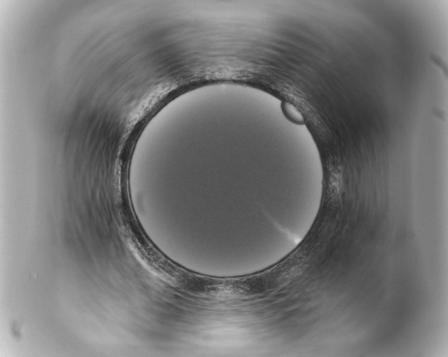 X0000101460678200808041042