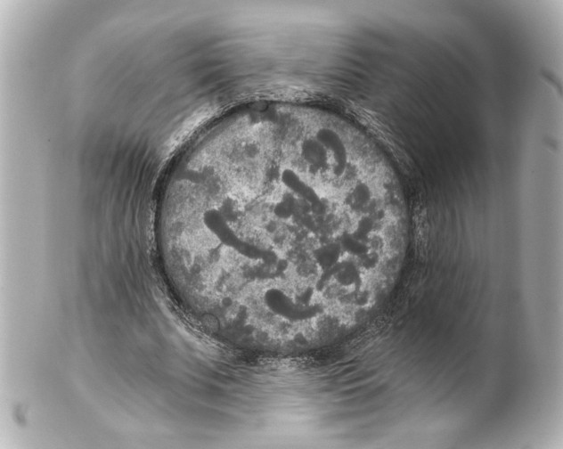 X0000101460679200808041042