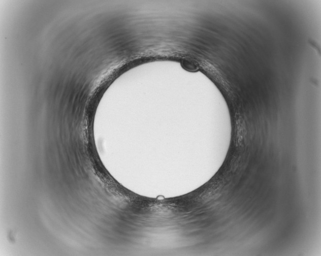 X0000101460680200808041042