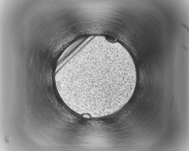 X0000101460681200808041042