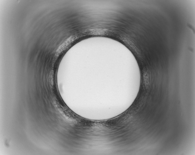 X0000101460682200808041042