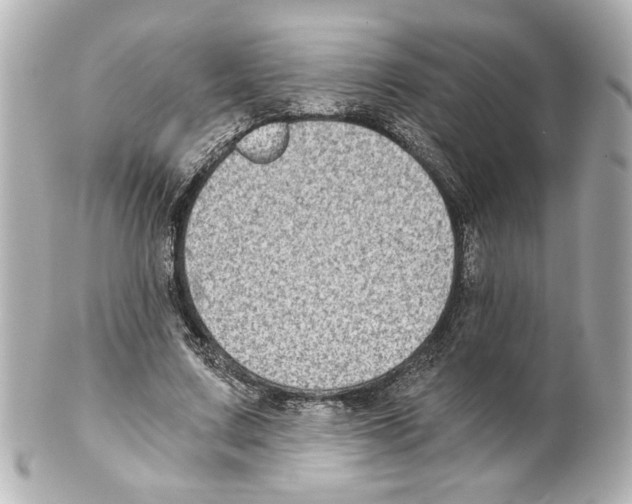 X0000101460683200808041042